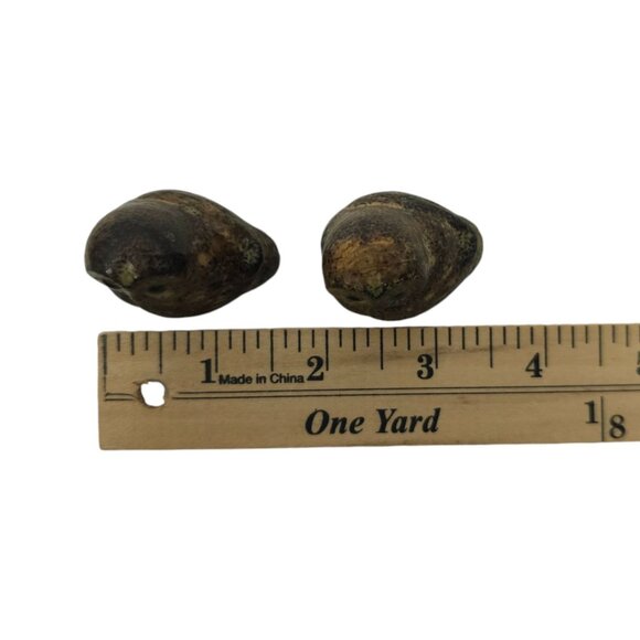 Napcoware Import Miniature Owls Vintage 60s Ceramic Speckled Stoneware Figurine - Picture 15 of 15